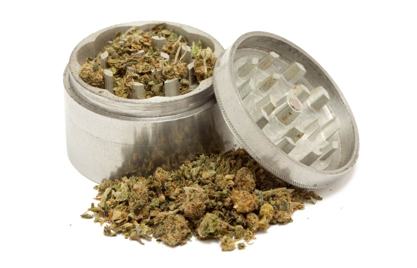 A cannabis grinder with the lid off and leaning on the side with ground up cannabis inside.