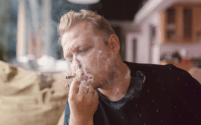 The Evolution of Cannabis Culture: From Stigma to Mainstream