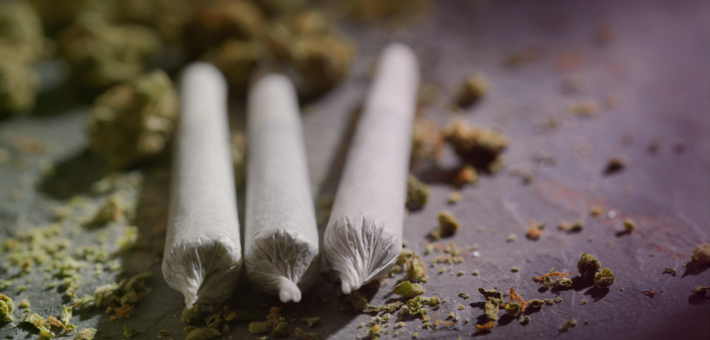 Three pre-rolls lined up on a grey surface with flower around them.