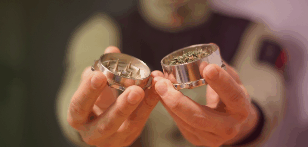 Close-up image of two hands holding an open cannabis flower grinder.