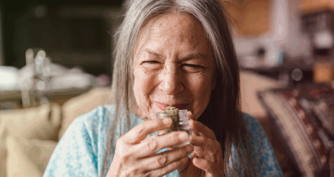 THC or Terpenes: What Matters When Choosing Weed