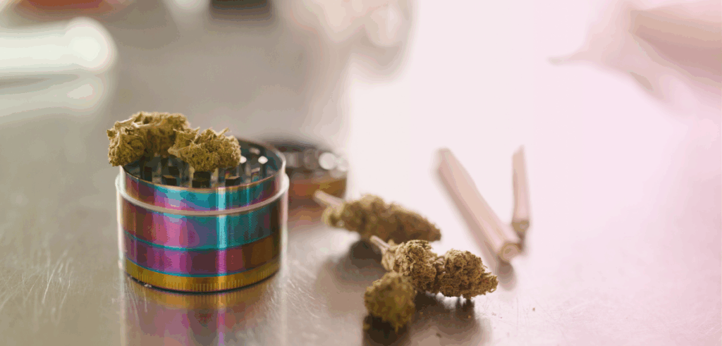 Cannabis flower sits on top of a grinder next to two joints on a table top.